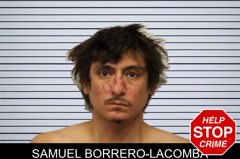 Samuel Borrero-Lacomba mugshot – Chatham County , Georgia Samuel Borrero-Lacomba mugshot