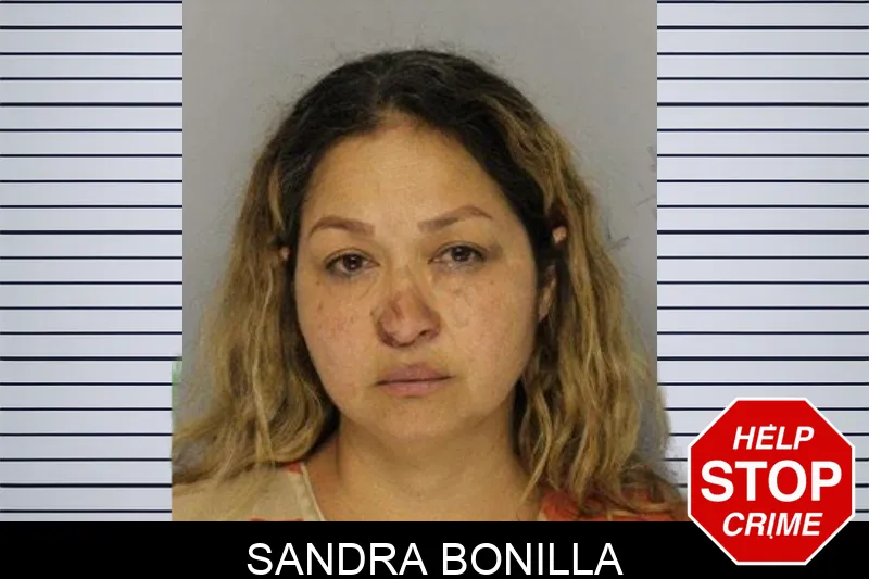 Sandra Bonilla mugshot – Hall County , Georgia Sandra Bonilla mugshot