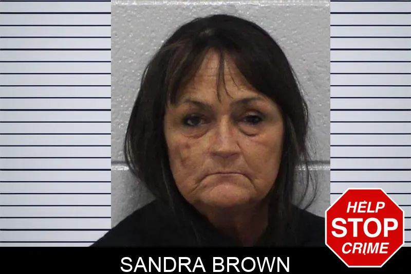 Sandra Brown mugshot – Carroll County , Georgia Sandra Brown mugshot