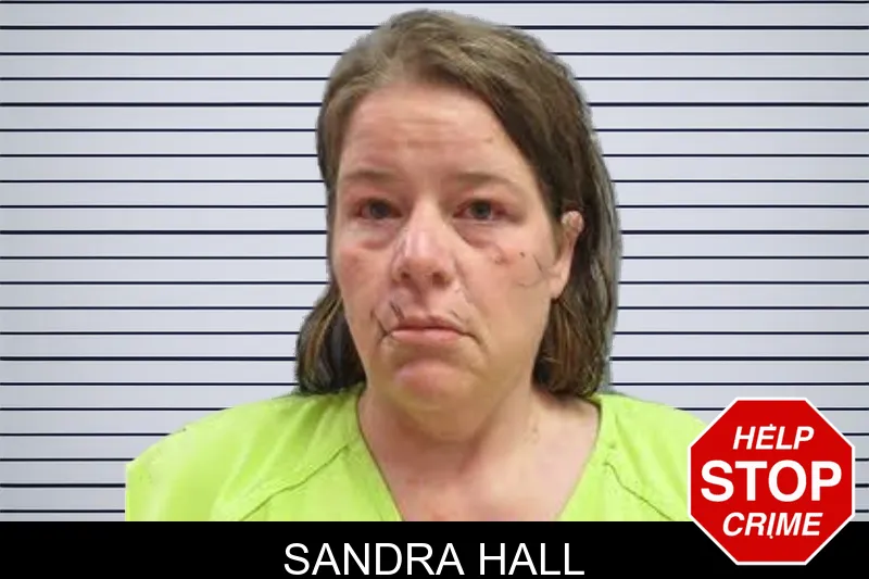 Sandra Hall mugshot – Lee County , Georgia Sandra Hall mugshot