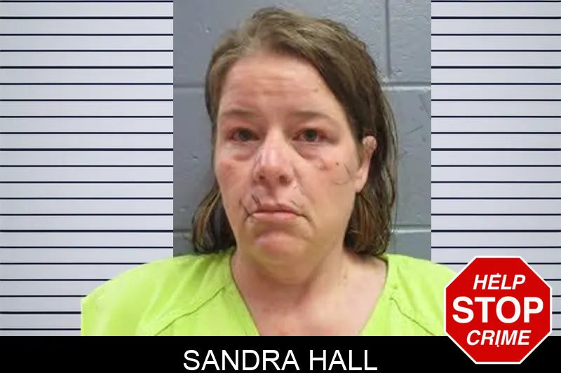 Sandra Hall mugshot
