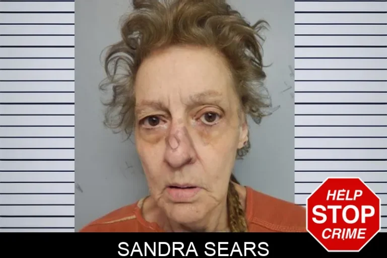 Sandra Sears