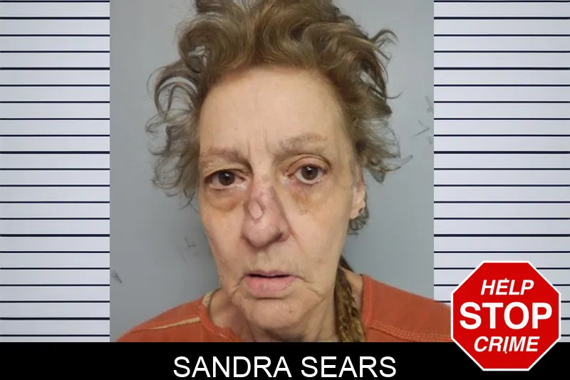 Sandra Sears mugshot – Hall County , Georgia Sandra Sears mugshot