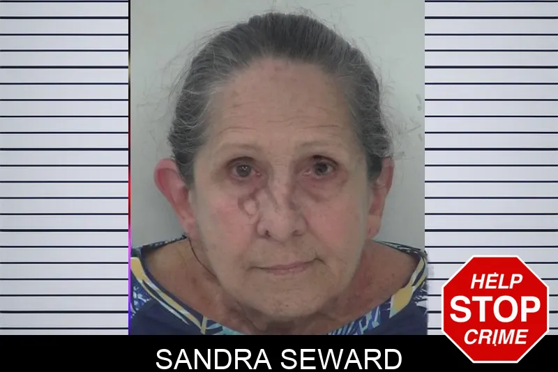 Sandra Seward mugshot – Fayette County , Georgia Sandra Seward mugshot