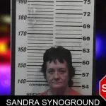 Sandra Synoground mugshot