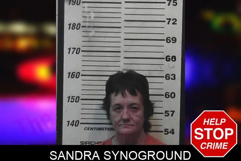 Sandra Synoground mugshot