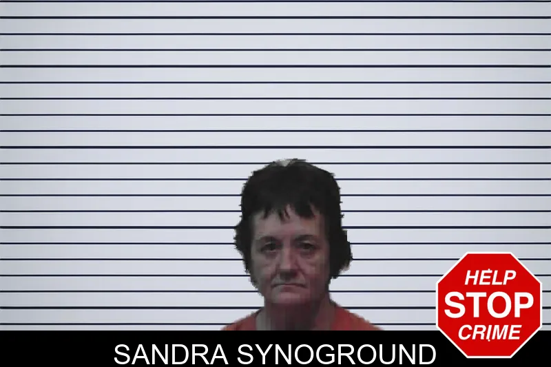 Sandra Synoground mugshot