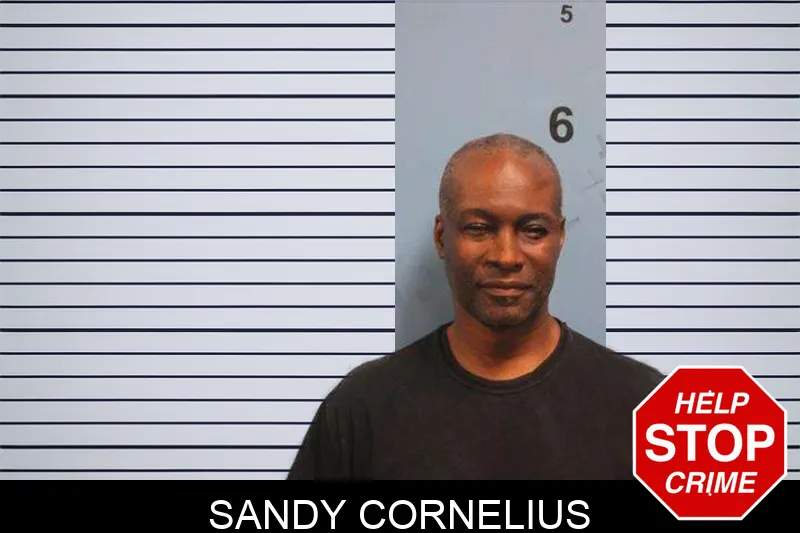 Sandy Cornelius mugshot – Monroe County , Georgia Sandy Cornelius mugshot