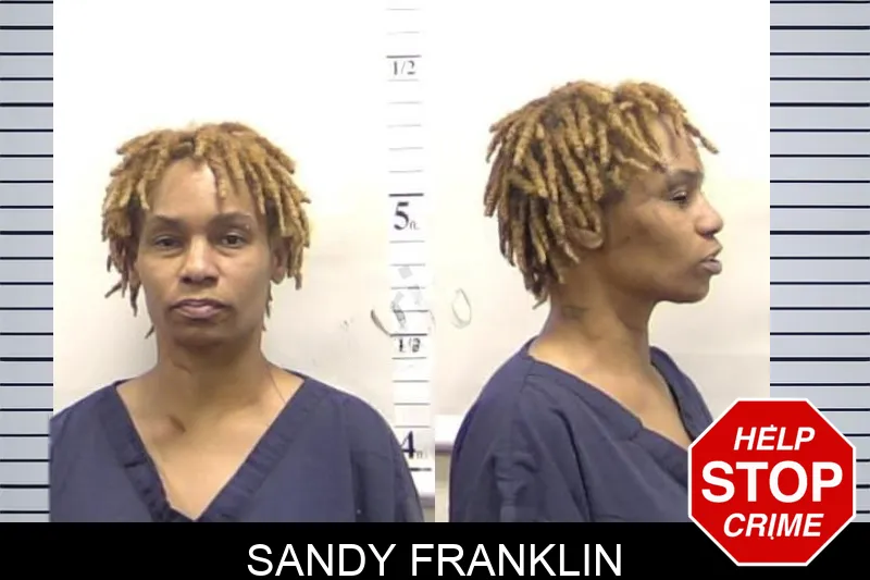 Sandy Franklin mugshot