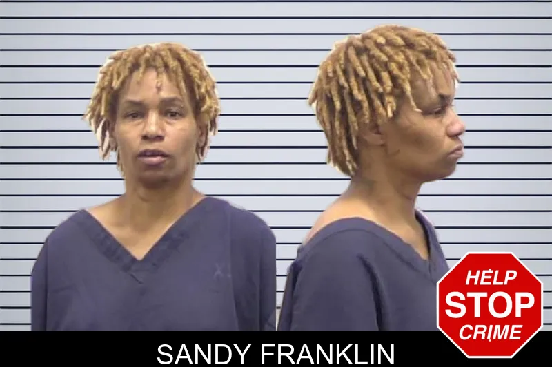 Sandy Franklin mugshot