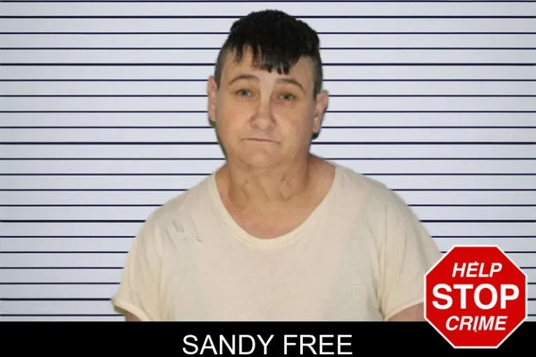 Sandy Free mugshot – Hall County , Georgia Sandy Free