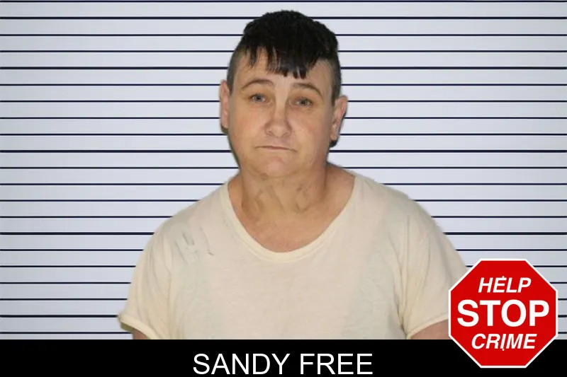 Sandy Free mugshot