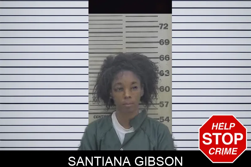 Santiana Gibson mugshot
