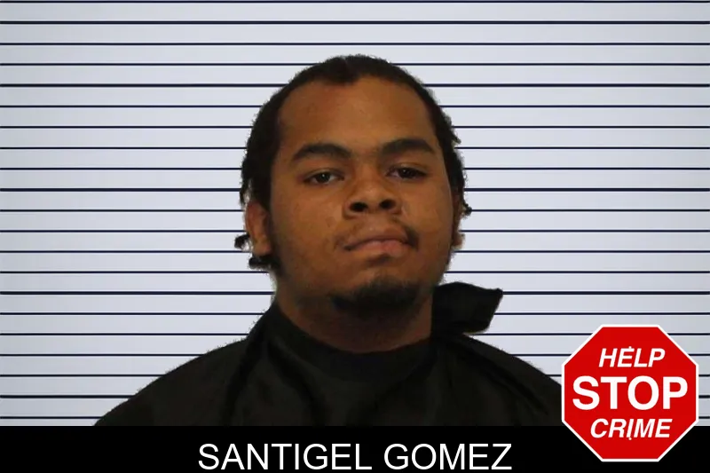 Santigel Gomez mugshot