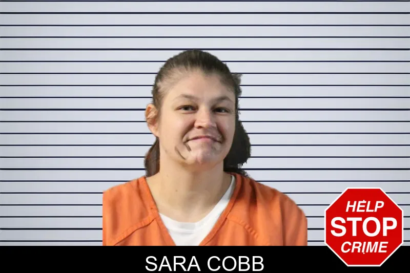 Sara Cobb mugshot – Lumpkin County , Georgia Sara Cobb mugshot