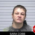 Sara Cobb mugshot