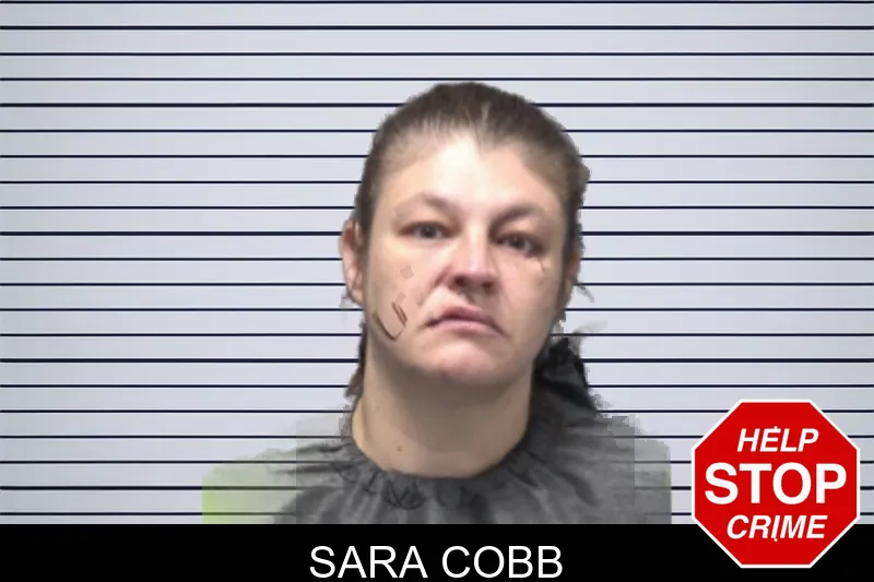 Sara Cobb mugshot