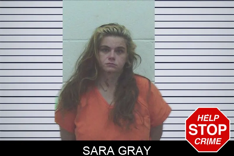 Sara Gray mugshot