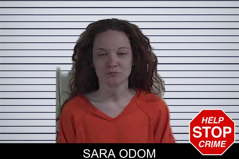 Sara Odom mugshot