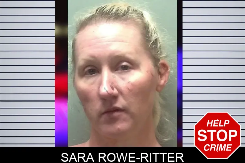 Sara Rowe-Ritter mugshot – Towns County , Georgia Sara Rowe-Ritter mugshot