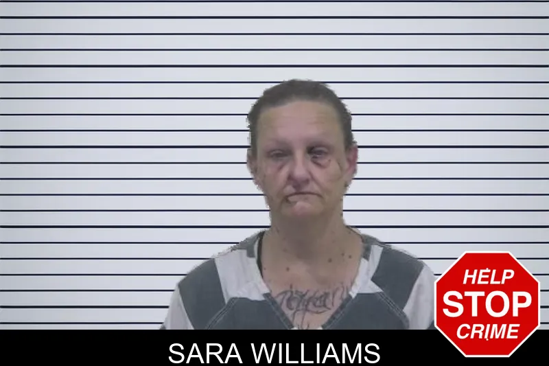Sara Williams mugshot