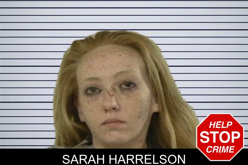 Sarah Harrelson mugshot – Liberty County , Georgia Sarah Harrelson mugshot