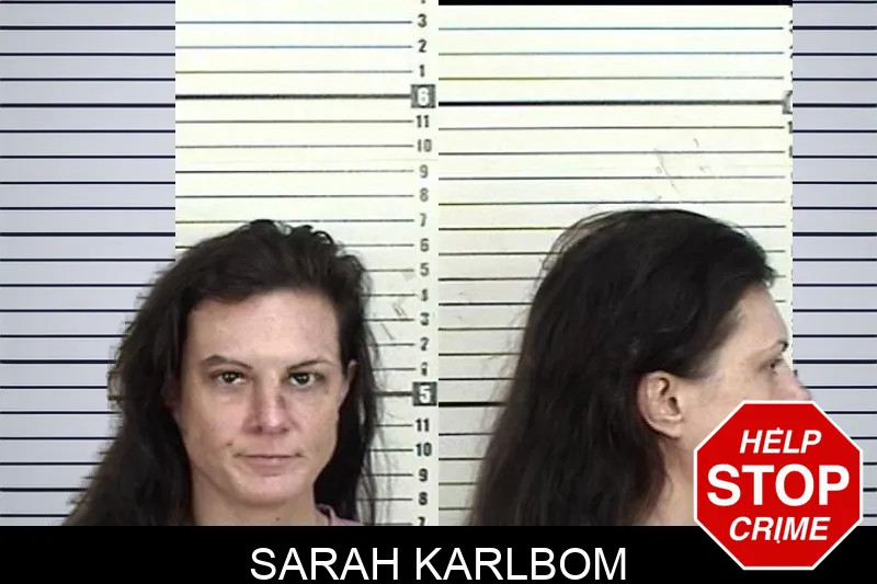Sarah Karlbom mugshot – Camden County , Georgia Sarah Karlbom mugshot