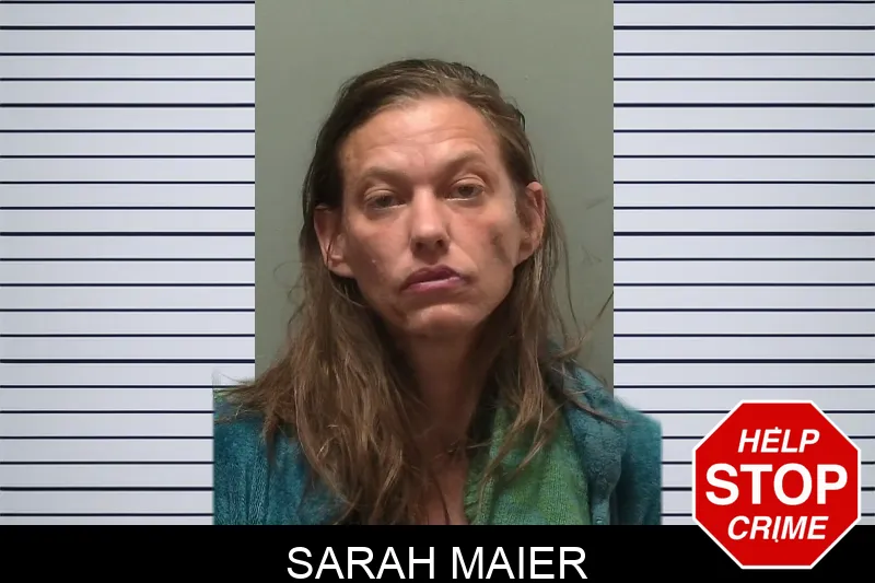 Sarah Maier mugshot – Towns County , Georgia Sarah Maier mugshot