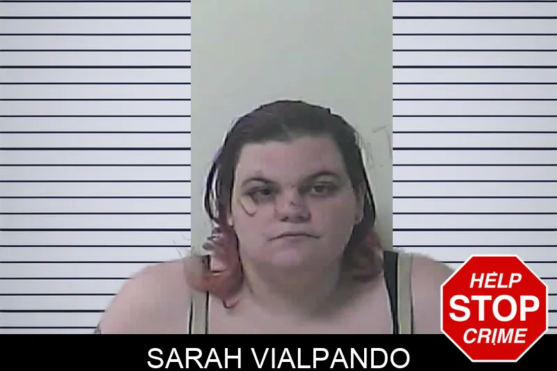 Sarah Vialpando mugshot