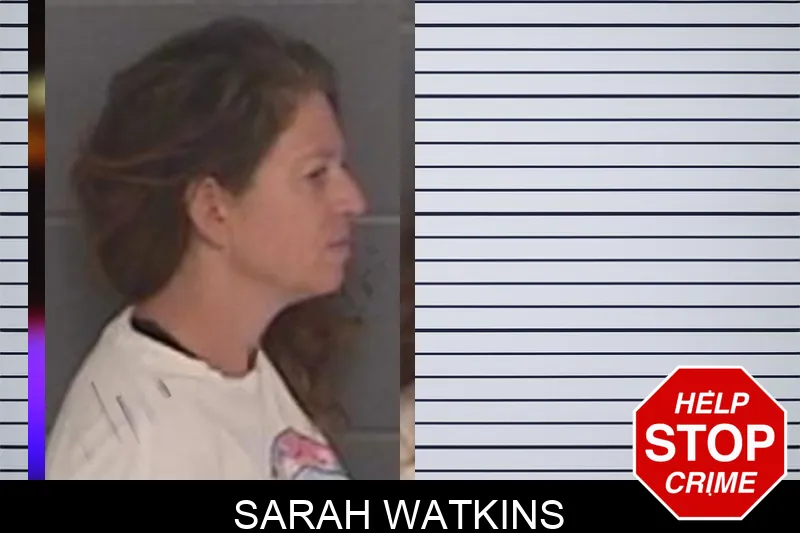 Sarah Watkins mugshot – Barrow County , Georgia Sarah Watkins mugshot
