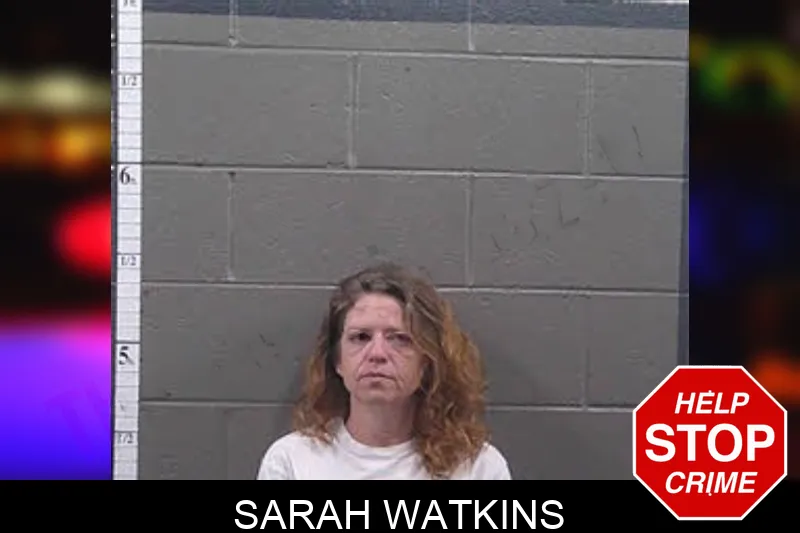 Sarah Watkins mugshot – Banks County , Georgia Sarah Watkins mugshot