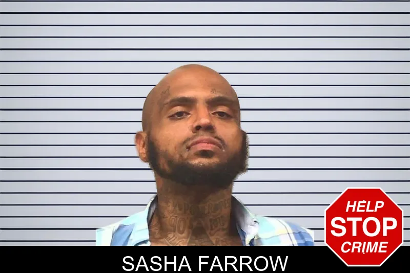 Sasha Farrow mugshot