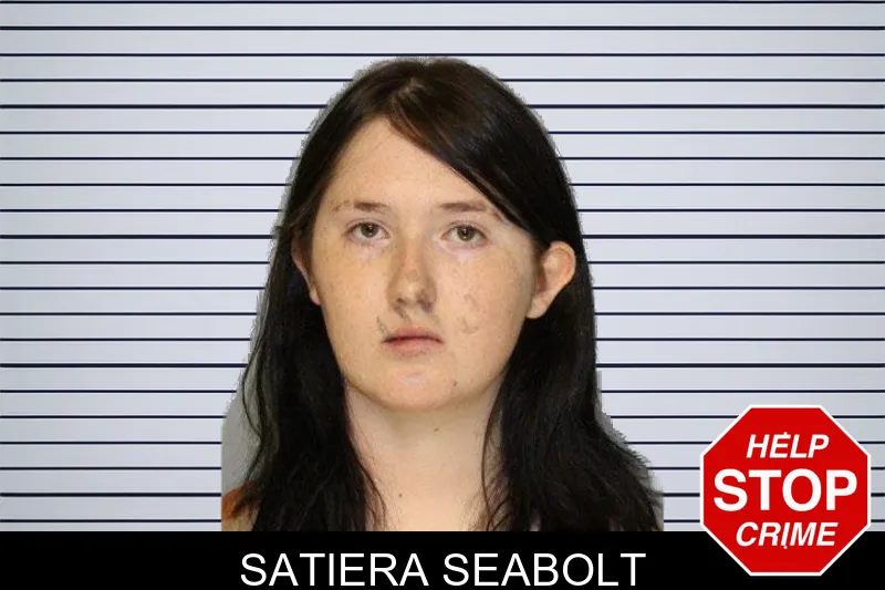 Satiera Seabolt mugshot