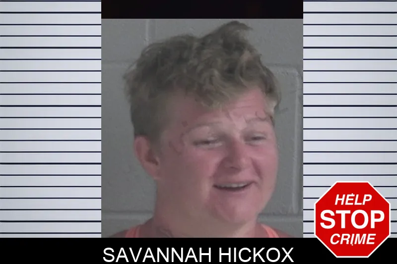 Savannah Hickox mugshot