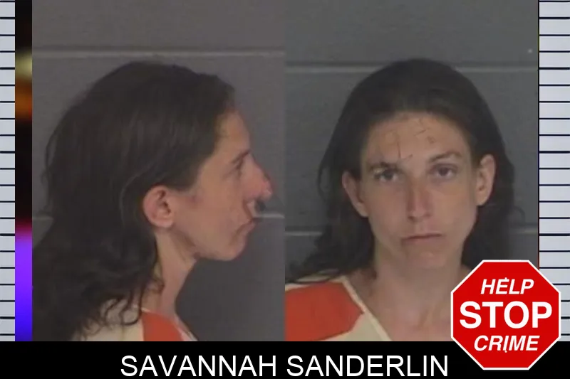 Savannah Sanderlin mugshot – Barrow County , Georgia Savannah Sanderlin mugshot