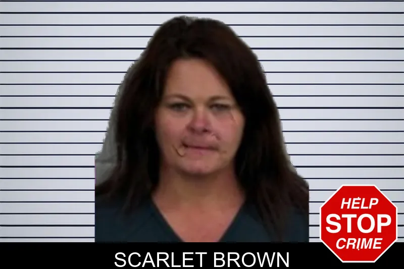 Scarlet Brown mugshot – Jeff Davis County , Georgia Scarlet Brown mugshot