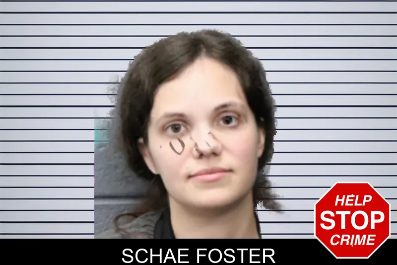 Schae Foster mugshot – Forsyth County , Georgia Schae Foster mugshot