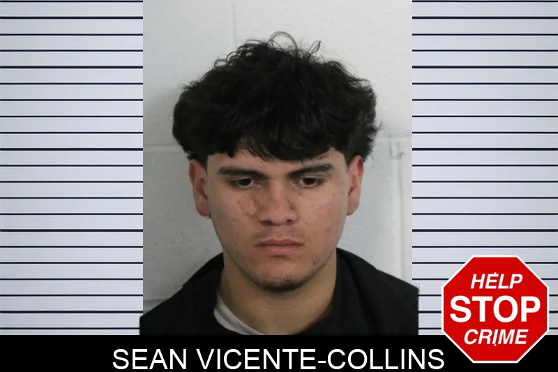Sean Vicente-Collins mugshot – Floyd County , Georgia Sean Vicente-Collins mugshot