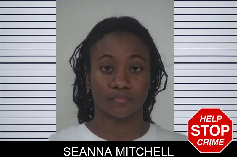 Seanna Mitchell mugshot – Fayette County , Georgia Seanna Mitchell mugshot