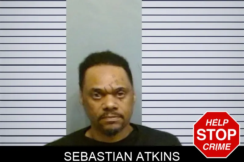 Sebastian Atkins mugshot – Fulton County , Georgia Sebastian Atkins mugshot
