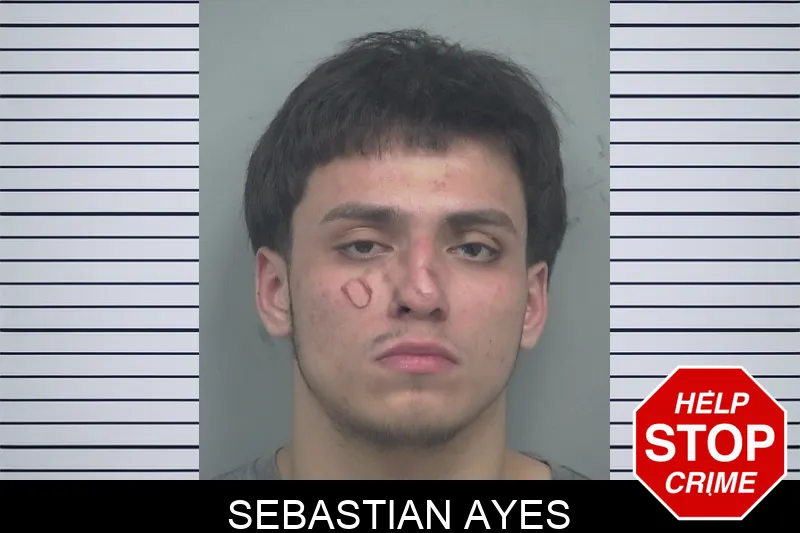 Sebastian Ayes mugshot