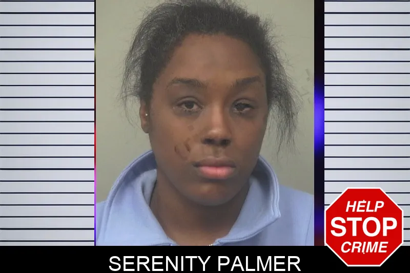 Serenity Palmer mugshot – Gwinnett County , Georgia Serenity Palmer mugshot