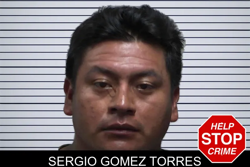 Sergio Gomez Torres mugshot