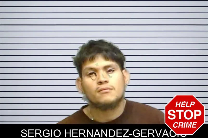 Sergio Hernandez-Gervacio mugshot