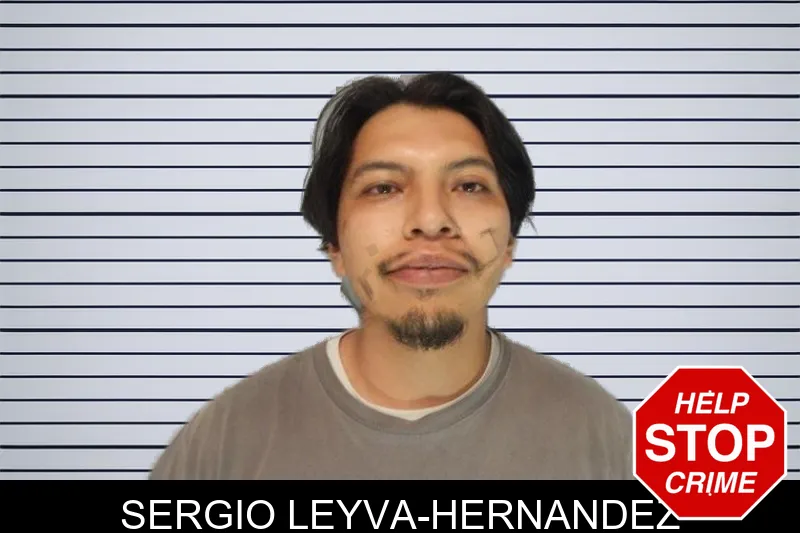Sergio Leyva-Hernandez mugshot