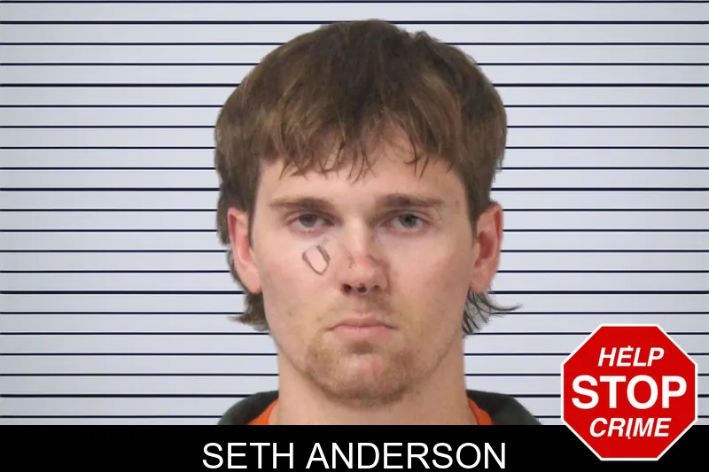 Seth Anderson mugshot – Mcintosh County , Georgia Seth Anderson mugshot
