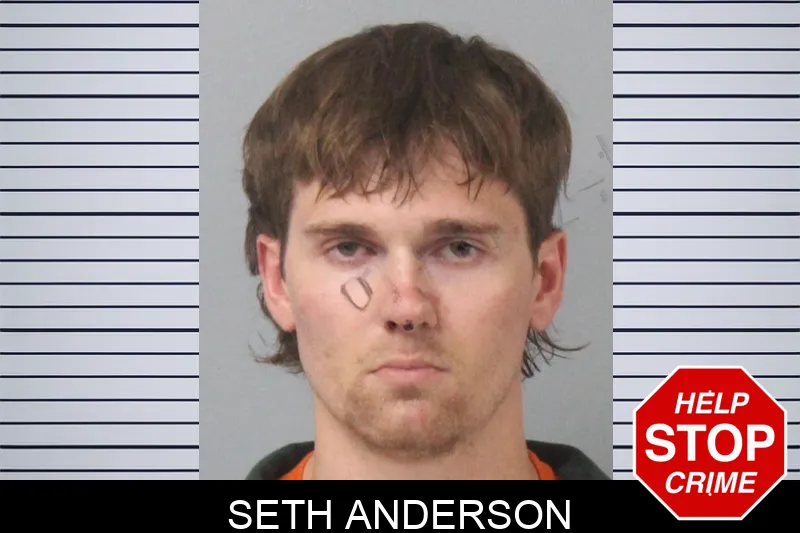 Seth Anderson mugshot