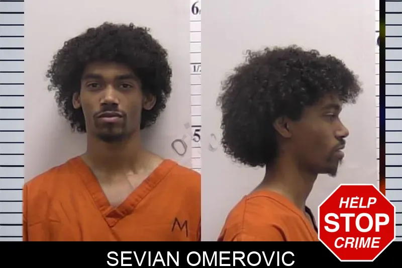 Sevian Omerovic mugshot