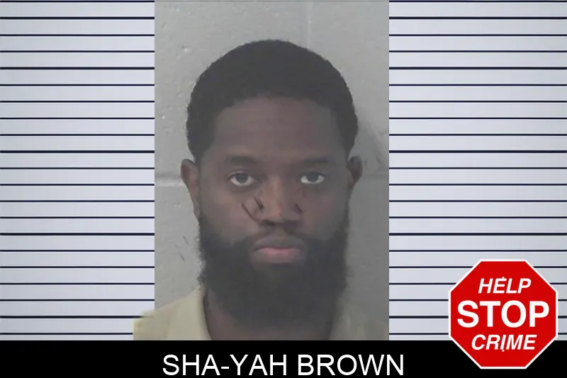 Sha-Yah Brown mugshot