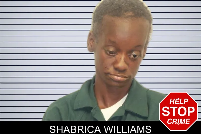 Shabrica Williams mugshot